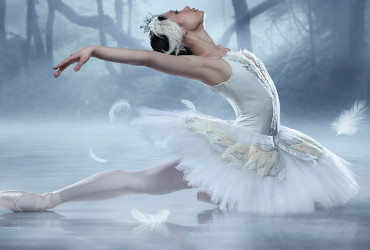 Swan Lake